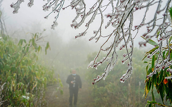 重庆酉阳,粉妆玉砌雨凇美