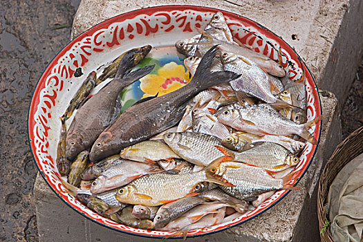 泰国,曼谷,亚洲,鱼市,鱼肉,盘子