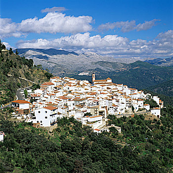 西班牙,安达卢西亚,靠近,传统,白色,乡村