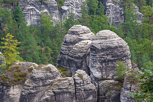 石头,砂岩,撒克逊瑞士