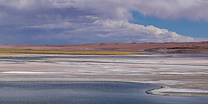 风景,盐滩,国家级保护区,佩特罗,阿塔卡马沙漠,省,安托法加斯塔大区,智利