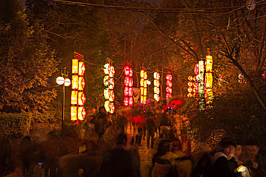 成都灯会夜景