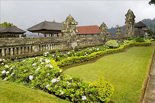 庙宇,八仙花属,绣球花,巴厘岛,印度尼西亚,东南亚