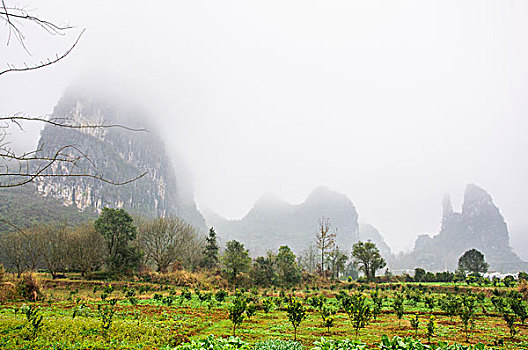 桂林喀斯特雾景