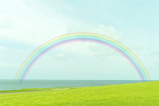 草地,海滩,彩虹,空中