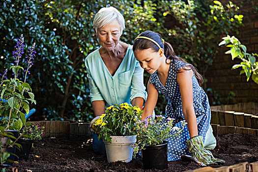 祖母,孙女,种植,多样,花盆,后院