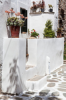 盆栽,正面,墙壁,石台,白色,地中海,房子