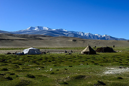 游牧,帐篷,积雪,山,远景,拉达克,查谟-克什米尔邦,印度,亚洲