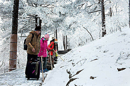 黄山,雪景,树林,登山道,冰挂,游人