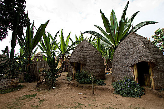 小屋,乡村,靠近,奥莫山谷,南,埃塞俄比亚,非洲