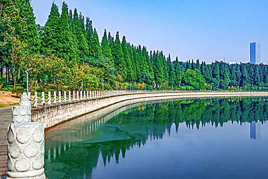 湖光美景,柔美湖岸线