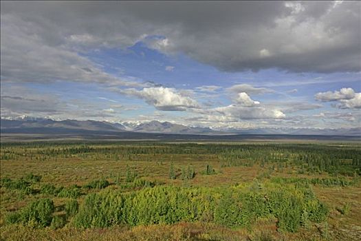 山峦,阿拉斯加山脉,德纳里峰,公路,阿拉斯加,美国