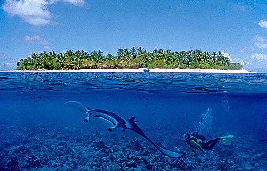分开,图像,水中呼吸器,潜水,光线,马尔代夫,印度洋,亚洲