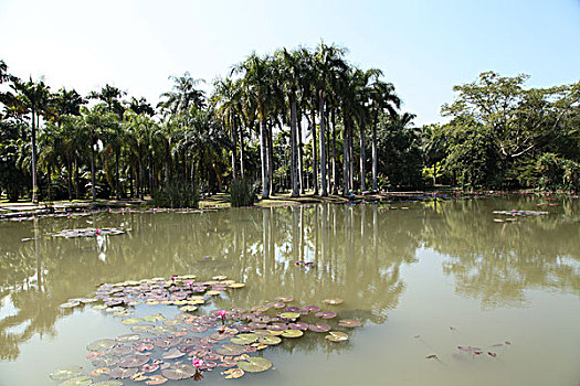 中科院西双版纳热带植物园