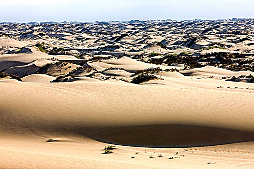 沙丘,靠近,湾,纳米比亚