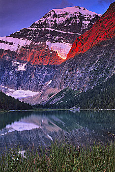 反射,山,水中,湖,天使,冰河,碧玉国家公园,艾伯塔省,加拿大