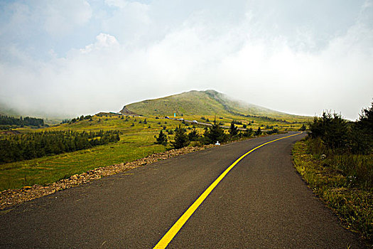 草原的道路