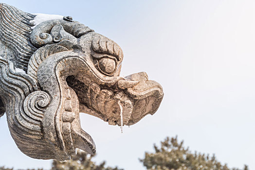 雪后沈阳清昭陵的龙头雕塑特写