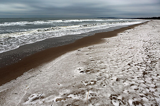 秦皇岛金海湾北戴河浅水湾辛丑牛年第一场春雪景色怡人