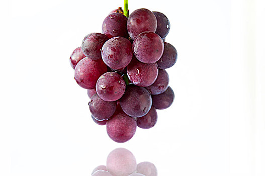 台湾出名的水果,巨峰葡萄,是紫葡萄