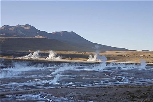 温泉,蒸汽,间歇泉,安托法加斯塔,智利,南美