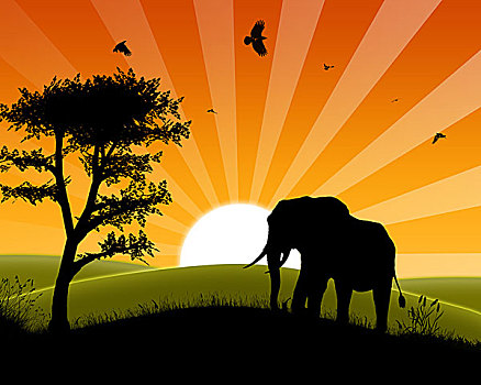非洲,日落,剪影,大象,接近,三个