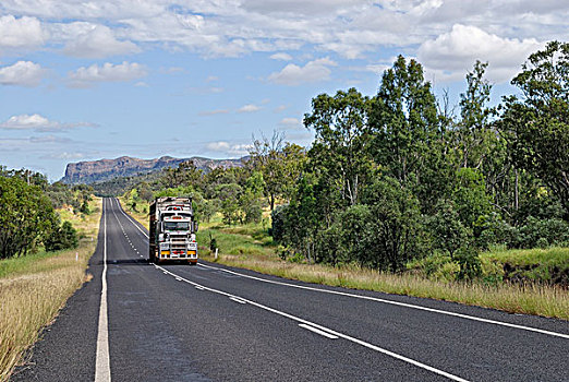 公路,靠近,昆士兰,澳大利亚