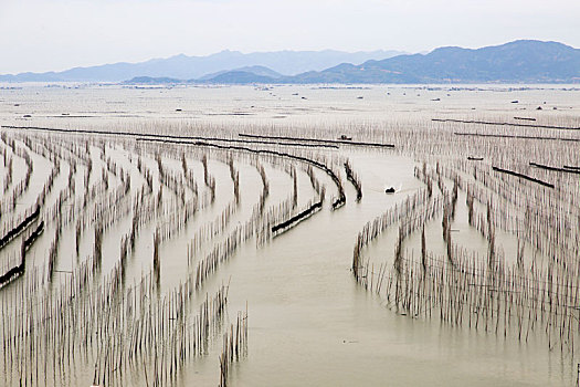 海田