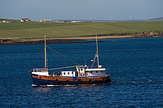 渔船,奥克尼群岛,苏格兰,英国,欧洲