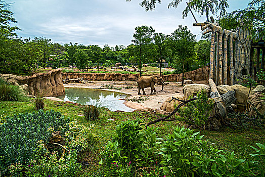 达拉斯动物园