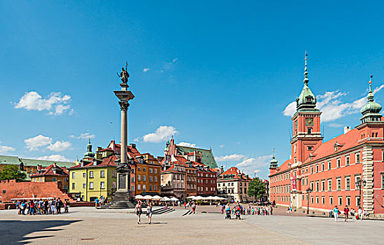 城堡广场,皇家,柱子,城堡,历史,中心,华沙,省,波兰,欧洲