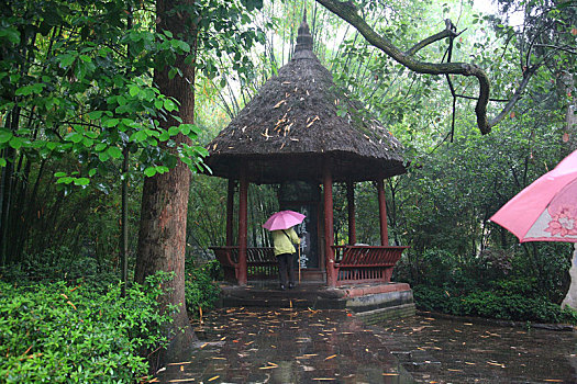 四川,成都,杜甫草堂,雨天,园林,雨,诗人