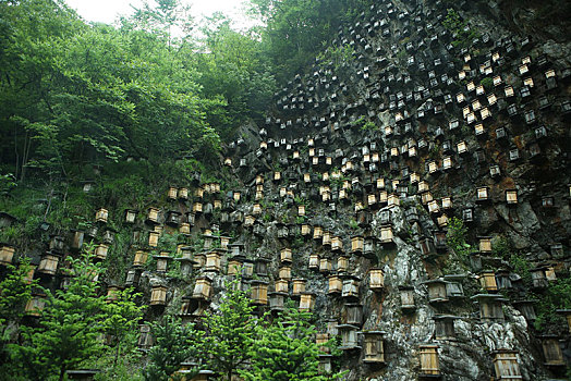 神农架,官门山,风景,景点,旅游,高山,瀑布,河流,神秘,树木,植被,野人,动物,标本,展览,雕塑,蜂箱,养蜂,蜜蜂