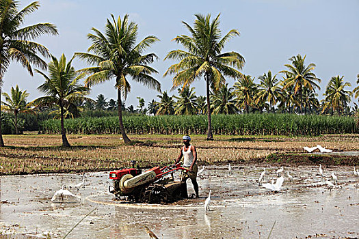 农民,耕作,地点,机器,印度南部,印度,南亚,亚洲