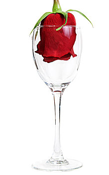 红玫瑰,玻璃杯,高脚杯
