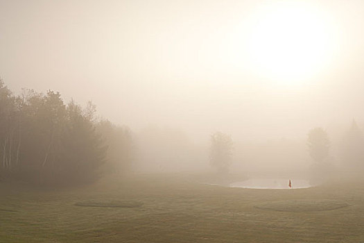 美国,佛蒙特州,晨雾,高尔夫球场