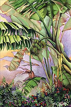 香蕉,夏威夷,香蕉树,热带,花园,水彩画