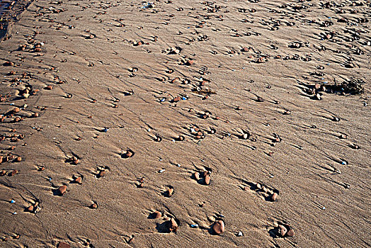 鹅卵石,海滩,约克,爱德华王子岛,加拿大
