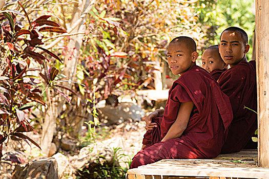 年轻,僧侣,掸邦,乡村,茵莱湖,缅甸,亚洲