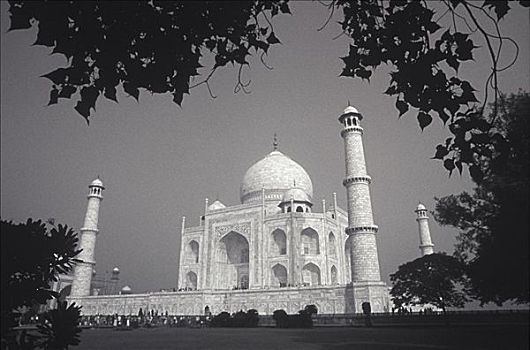 游客,正面,纪念建筑,泰姬陵,北方邦,印度
