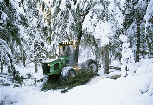 起重机,积雪,树林