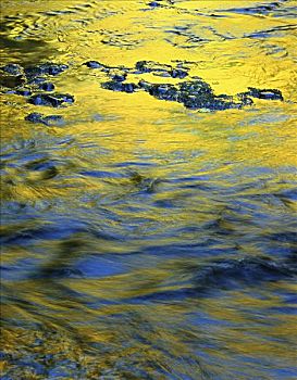 银,溪流,银色瀑布州立公园,俄勒冈,美国