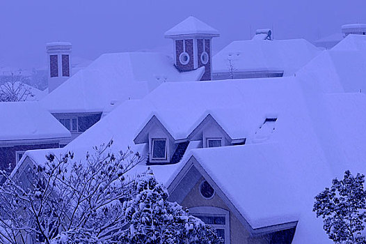 雪景