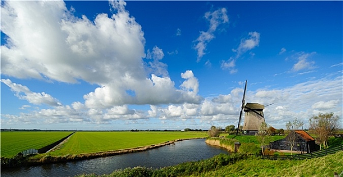 美女,风车,风景,荷兰
