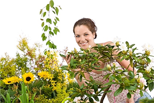 园艺,女人,杜鹃花属植物,花