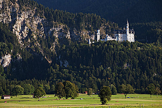 巴伐利亚,城堡,山腰,土地,德国