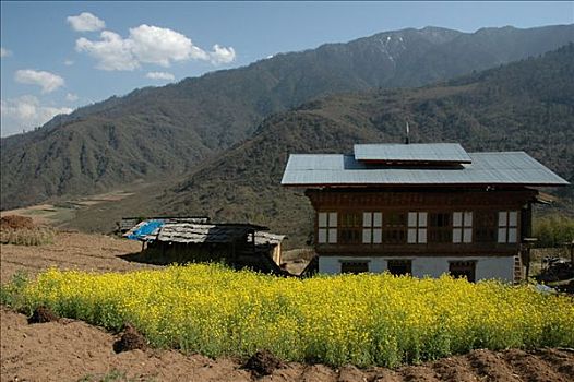 农舍,不丹,喜马拉雅山