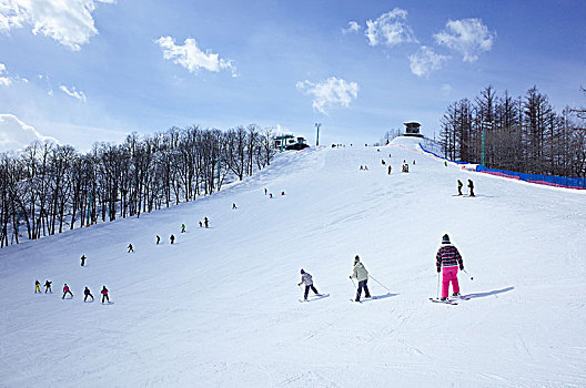 滑雪,地点,北海道