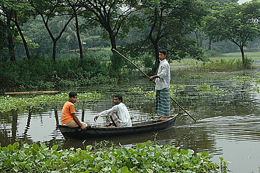 洪水,孟加拉,只有,运输,八月,2005年