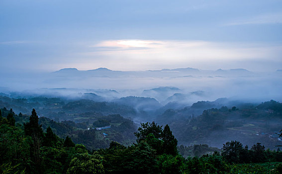 重庆农村,晨雾缭绕胜似仙境